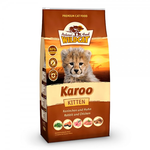 Wildcat Karoo Kitten